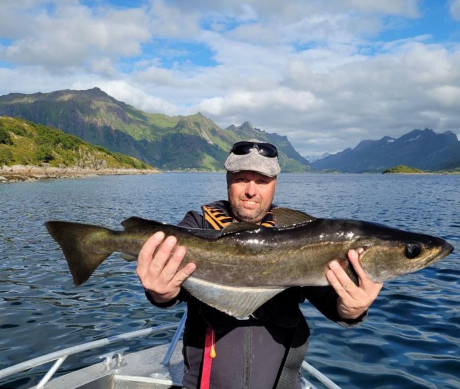 Lofoten And Vesteralen Kveldro Ferienhaus Myrland