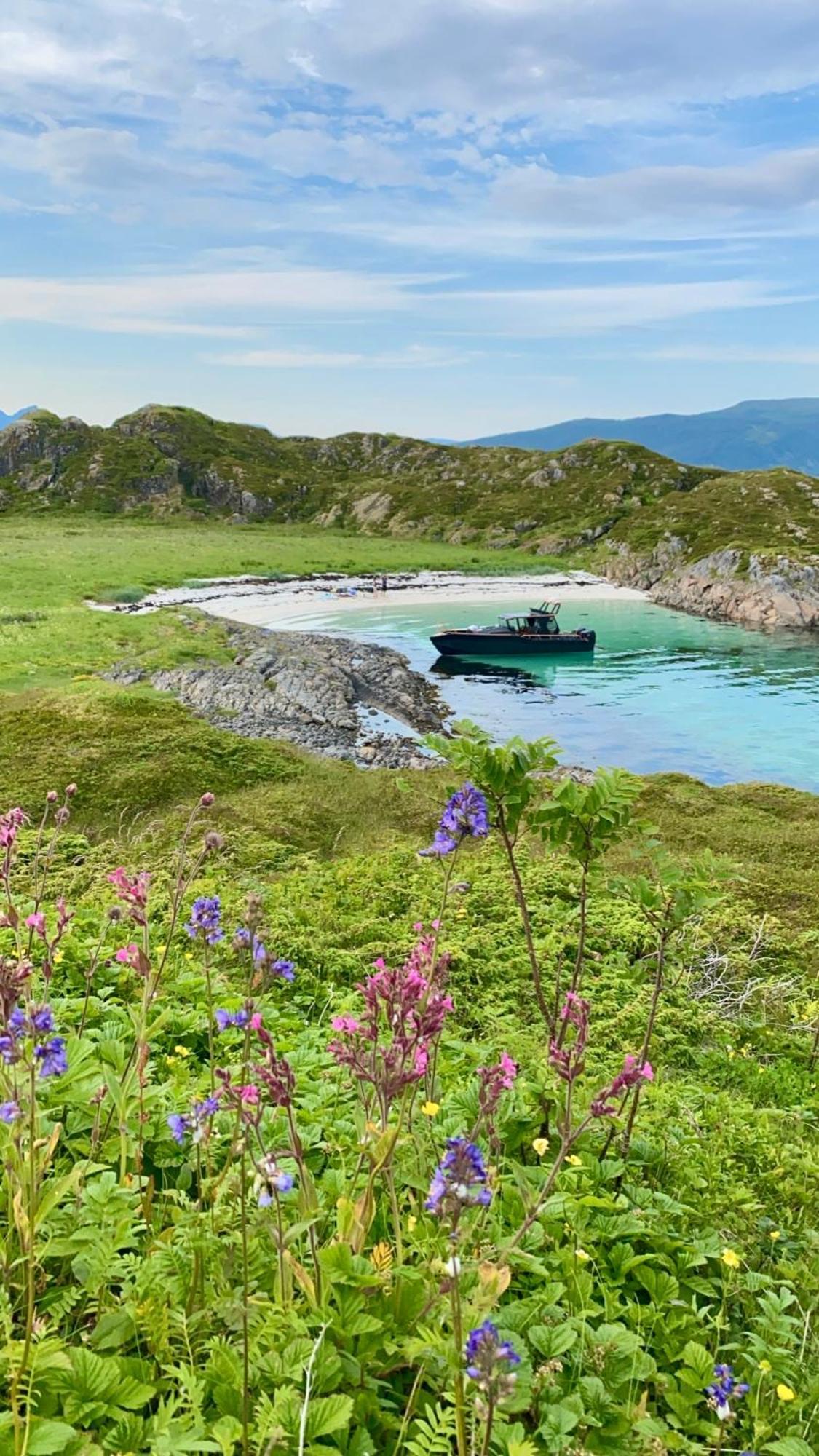 Lofoten And Vesteralen Kveldro